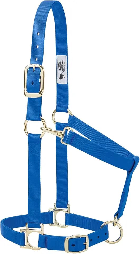 Weaver Equine Nylon Horse Halter, Large Horse, Padded & Adjustable, 1 in