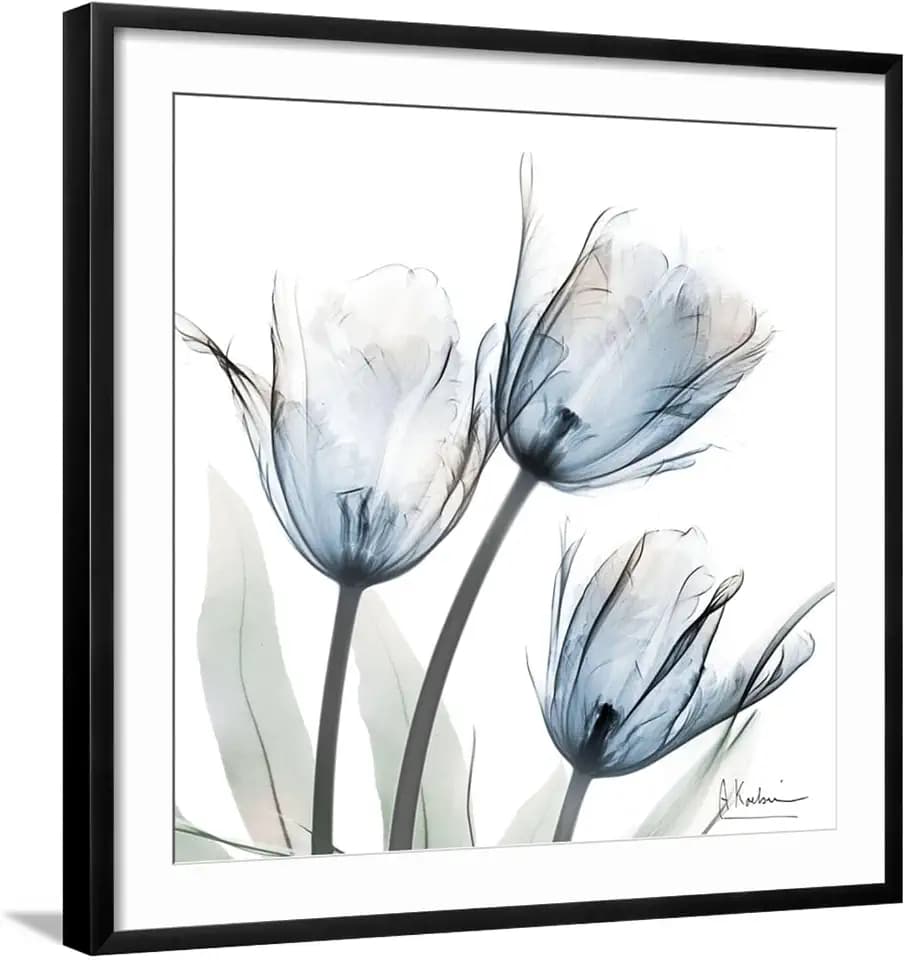 ART.COM Wall Art Print Glacier Tulips 1 on Black Frame by Albert Koetsier, 29" x 29"