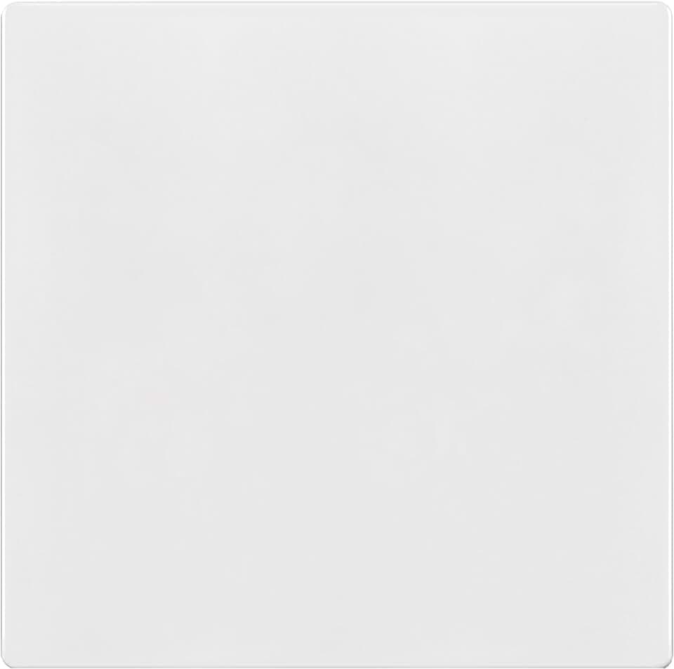 TG Mid-Size Screwless Double Blank Wall Plate Cover, 2-Gang, 1 Pack, White