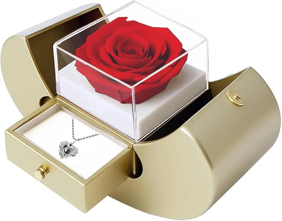 moshen Preserved Rose Set with I Love You Necklace 100 Languages, Gifts for Wife Girlfriend Mom Women Her (beige)