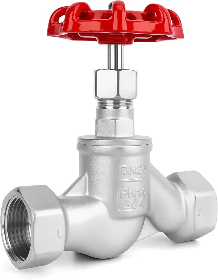 1" NPT S-Type Wye Pattern Globe Valve, Stainless Steel, Female Thread, DN25