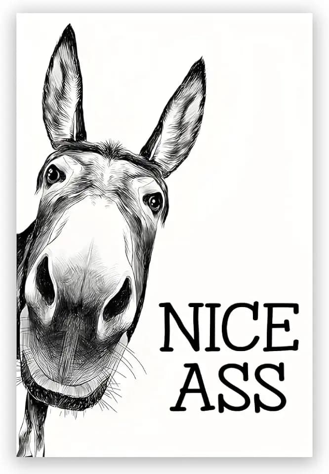 Black and White Bathroom Wall Art Decor Nice Ass,Donkey in Bathroom Canvas Posters,Interest Animals Wall Decor Vintage Farmhouse Home Humor Print Paint 16x24inch Unframed