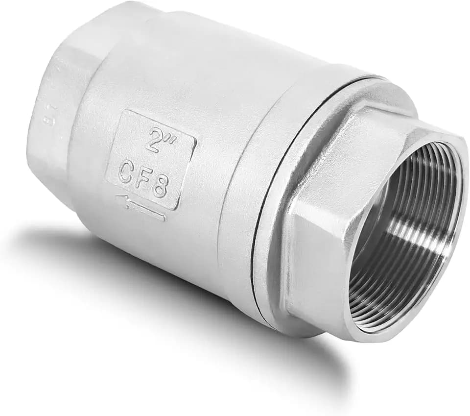 2" NPT Vertical Spring Check Valve, Stainless Female Thread, 1000 WOG, DN50