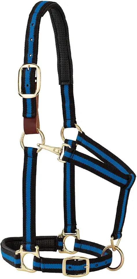 Weaver Equine Breakaway Horse Halter, Comfort Foam Padding, Adjustable Chin & Throat Snap Halters for Horses, Equine Tack,Average Size