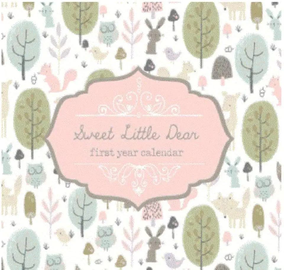 C.R. Gibson, Sweet Little Dear First Year Calendar