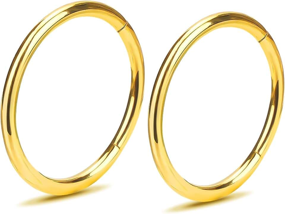 2Pcs Women Men Titanium Nose Rings Hoops 20G 18G 16G 14G 12G Hinged Nose Clicker for Nostril Septum Cartilage Helix Tragus Conch Daith Rook Lip Ear Lobe Piercings Diameter 6mm/7mm/8mm/9mm/10mm/11mm/12mm/14mm/16mm Sliver-Gold-Black-Rose Gold