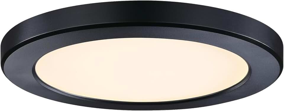 Westinghouse Lighting LED Indoor/Outdoor Flush Mount Fixture with Color Temperature Selection-Black