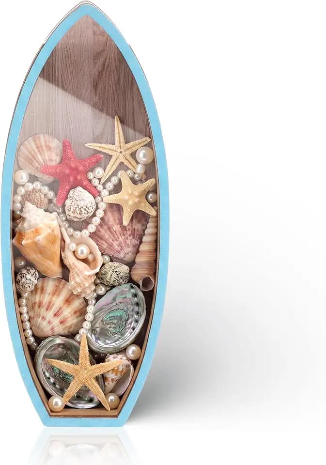 Wooden Surfboard Seashell Holder Seashell Display Box Shell Collection Box