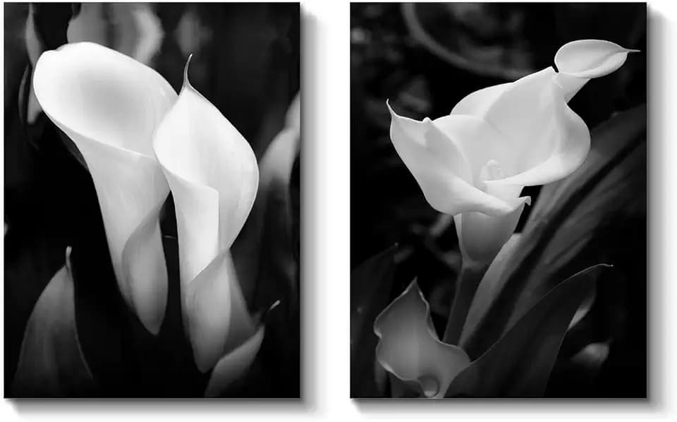 TAR TAR STUDIO Calla Lily Flower Wall Art: Lilies on Black Background Photographic Print on Canvas Set Artwork for Bedroom (24'' Wx 18''H x 2 PCS,Multiple Sizes)