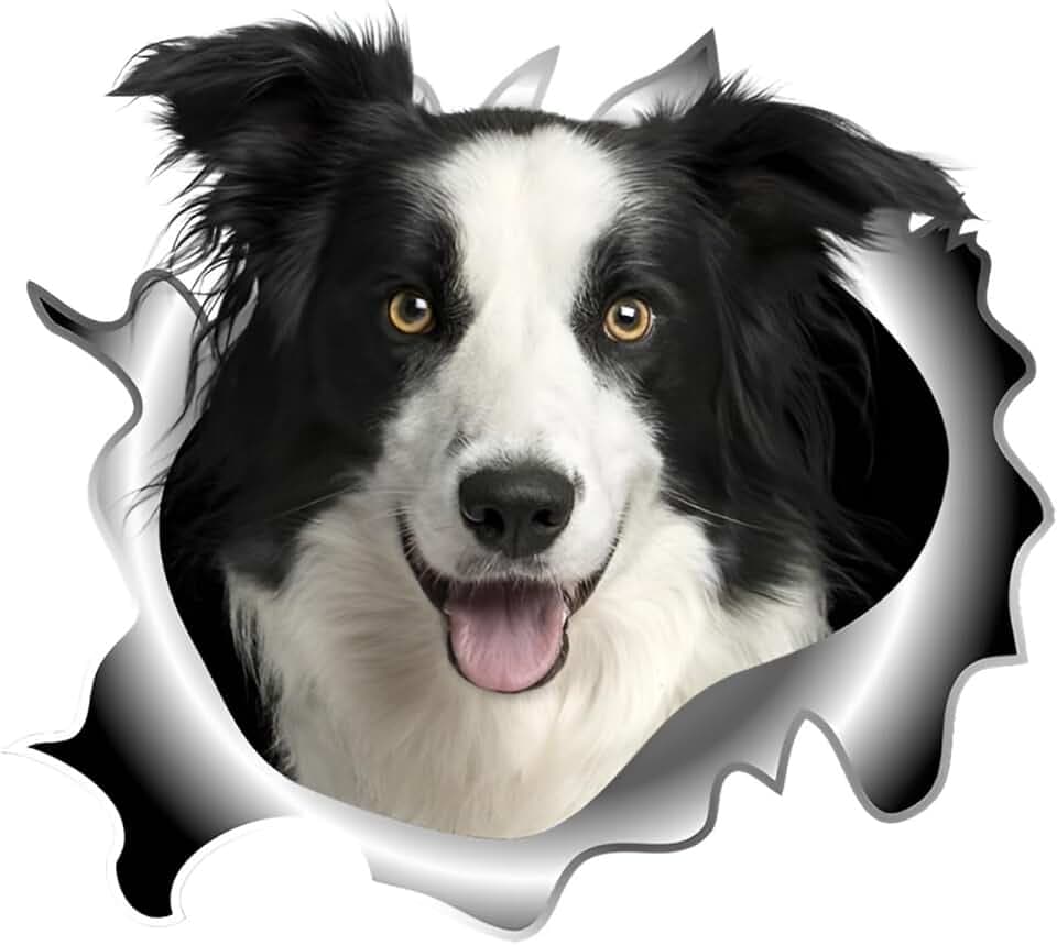 Autoaufkleber 22cm(8.7 Inch) Border Collie Aufkleber 3D Zerrissen Reflektierende Auto Aufkleber Lustig Border Collie Car Sticker Haustier Hund Wasserdichte Aufkleber Stoßstange Sticker Lustig Dekor