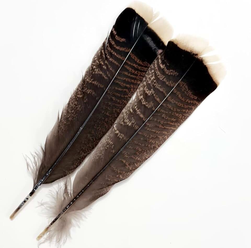 Turkey Feathers,Natural Big Long Feather,11-13 inches (28-33cm),Large Size Bilateral Feathers,for Crafts,Bulk 12pcs (Natural Turkey-1)