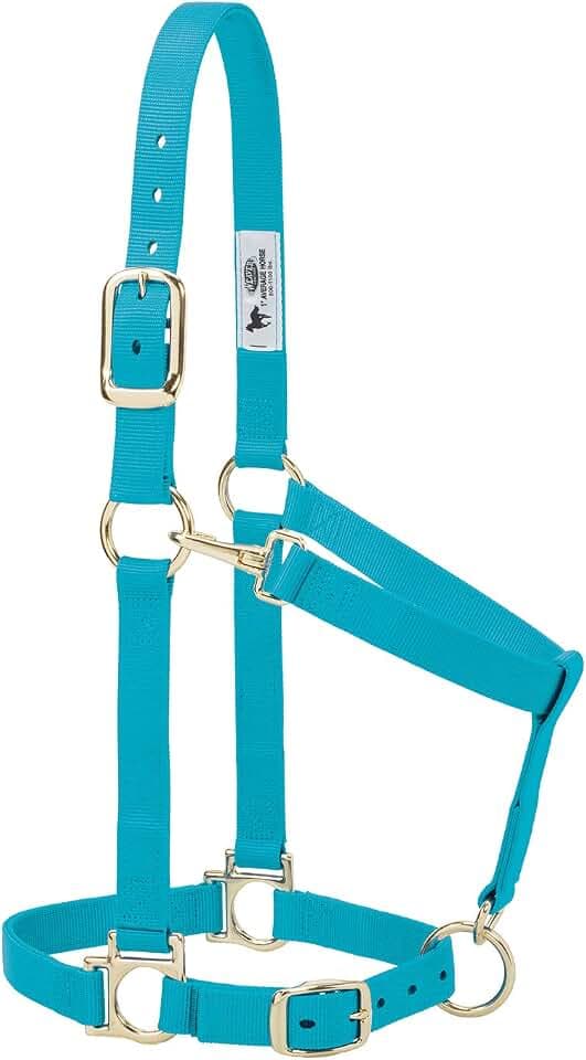Weaver Equine Nylon Horse Halter, Small Horse, Padded & Adjustable, 1 in