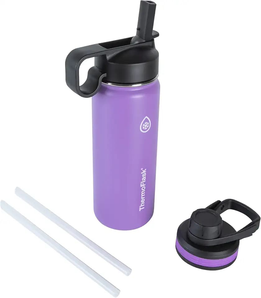 ThermoFlask 18 oz Double Wall Vacuum Insulated Stainless Steel Water Bottle - Reusable with Leakproof Chug & Straw Lids - Keeps Drinks Cold 24 hr/Hot 12 hr - Easy Maintenance - Gym/On-the-Go, Plum