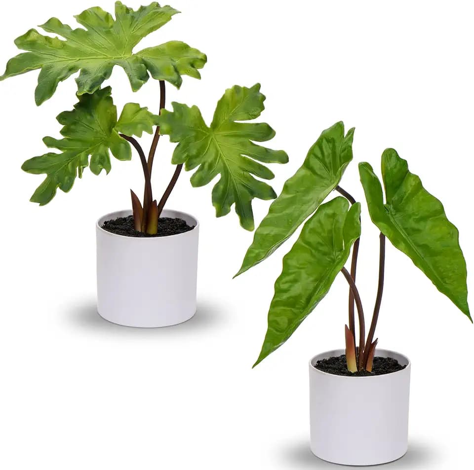 Hollyone Fake Plants Set of 2 Artificial Potted Plants Faux Plants Begonia Plants in White Pots Real Touch Leaves for Office Table Desk Shelf Bathroom Bedroom Greenery Decoration Home Indoor Decor