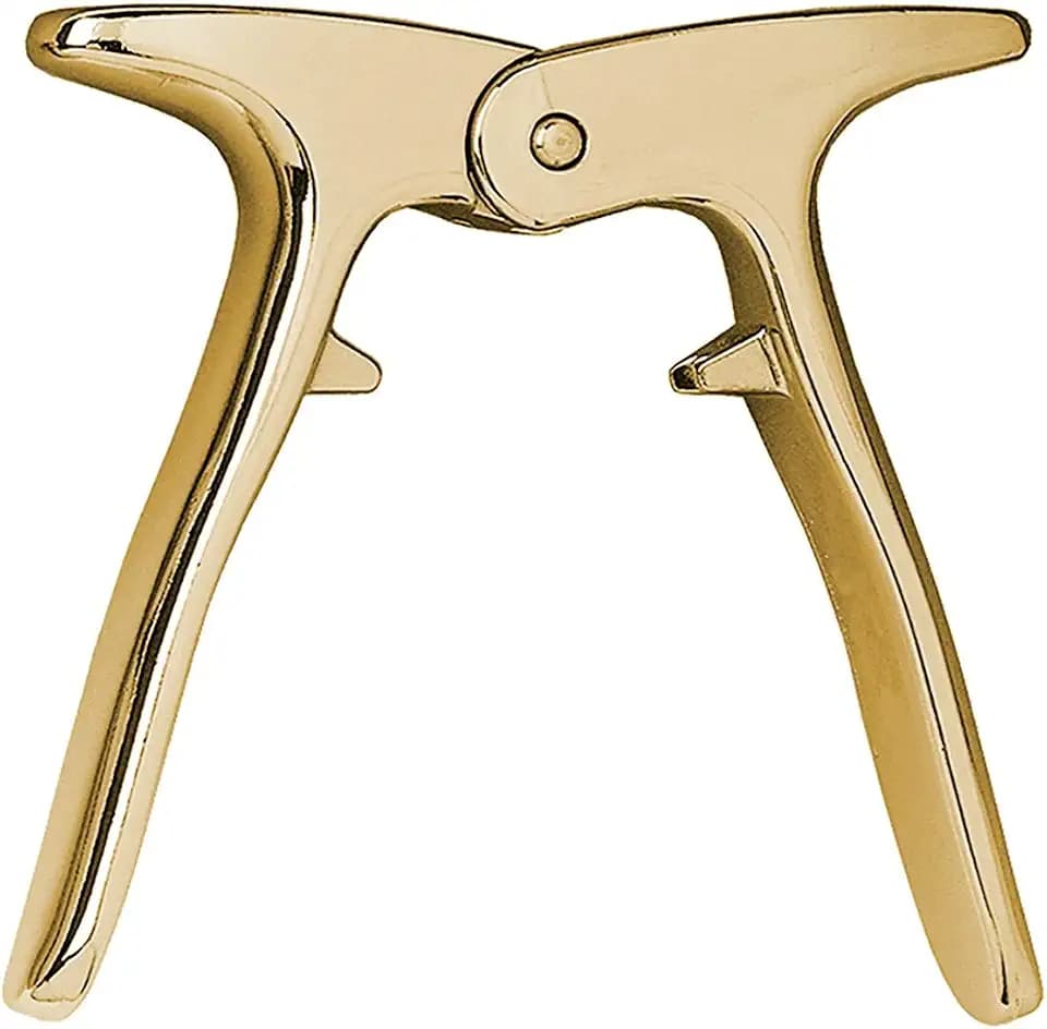 Franmara Premium Champagne Opener, Gold
