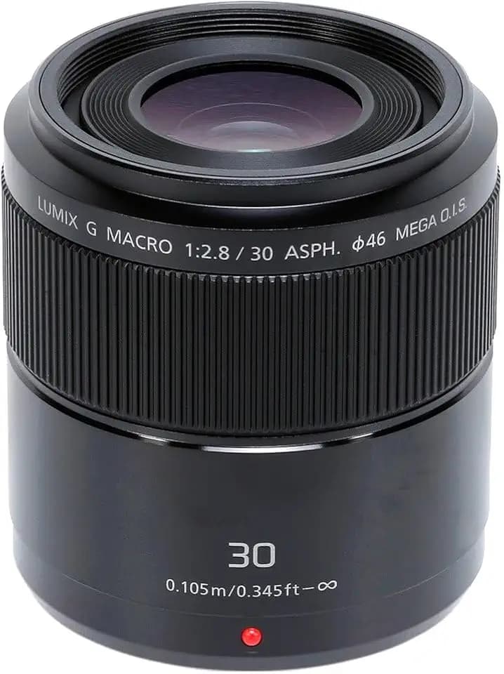 Panasonic H-HS030E LUMIX G Makro 30 mm F2.8 ASPH.Objektiv (O.I.S. Bildstabilisator, Bildwinkel 40°, Filtergröße 46 mm) schwarz