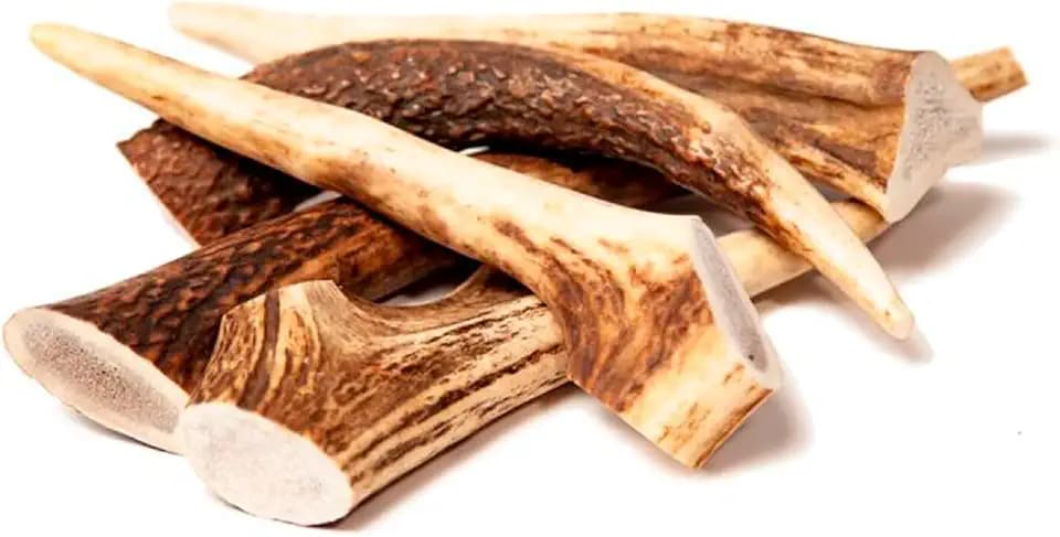 EcoKind Deer Antler Tips for Crafts, 25-32 Antler Tips for Crafting, 2 lbs
