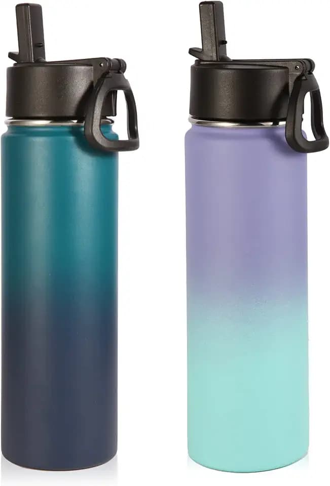Volhoply Insulated Water Bottles with Straw Bulk 2 Pack, 22 oz Stainless Steel Sports Bottle with Handle Lid,Double Walled Metal Water Cups with Wide Mouth,Reusable Cold Water Flask(Assorted,2 Set)