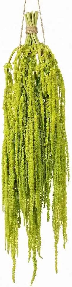 Natural Dried Wisteria Hanging Flowers - 30 Inch Bleached White Amaranthus Vine for Wedding Arch, Boho Home Decor, Wall Floral Arrangement and Vase Filler (Green-12pcs)