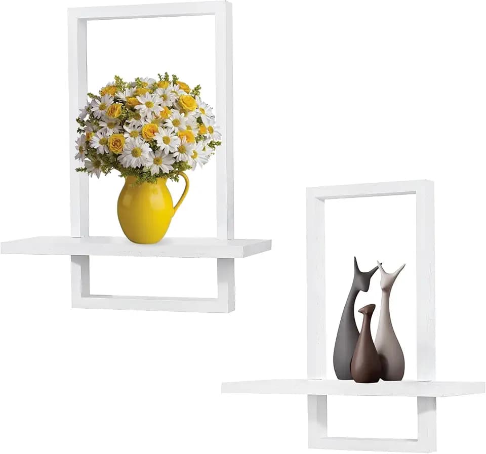 Floating Shelves for Wall,Decorative Wall Shelves,Plants Shelf Framed