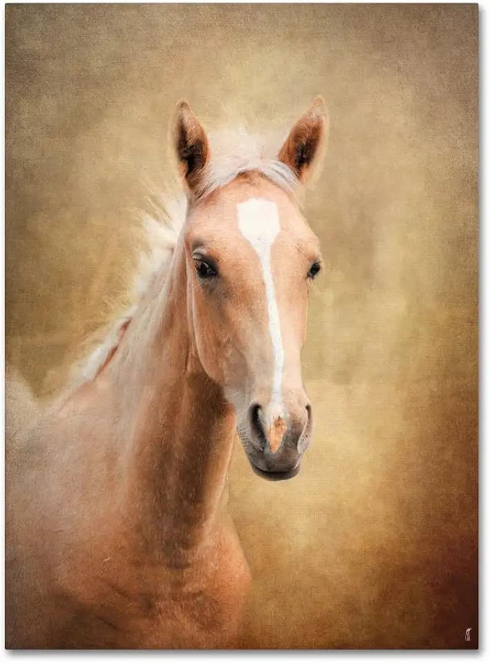 Trademark Fine Art Canvas Wall Art - Jai Johnson 'Golden Girl Palomino Horse' Wall Art for Living Room, Bedroom, or Office Décor