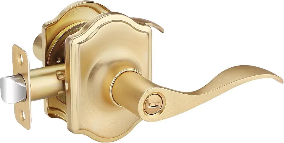 EHOMEWARE 1 Pack Gold Door Knob, Interior Door Handle, Satin Brass