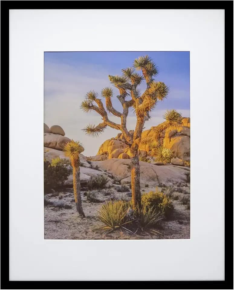 Art Emotion Black 16x20 Picture Frame – Fits 11x14 Photos with Mat or 16x20 Without Mat, Wall Hanging Photo Frame, 1-Pack