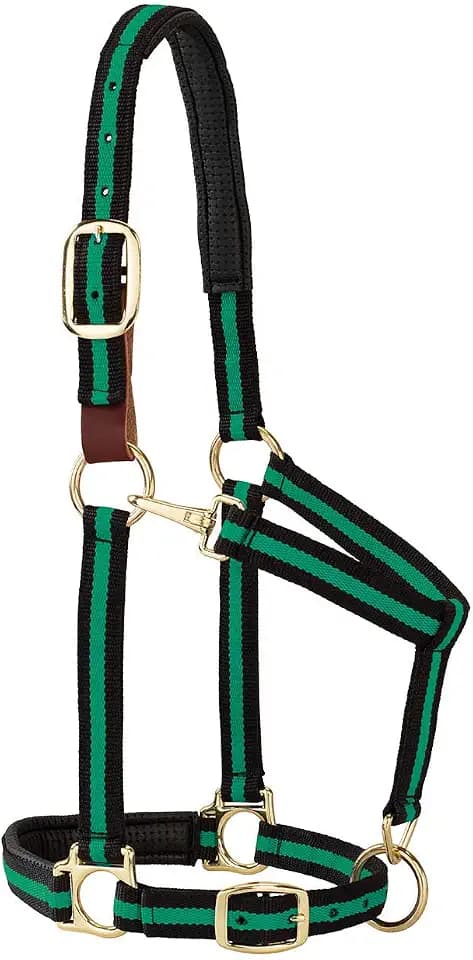 Weaver Equine Breakaway Horse Halter, Comfort Foam Padding, Adjustable Chin & Throat Snap Halters for Horses, Equine Tack,Average Size