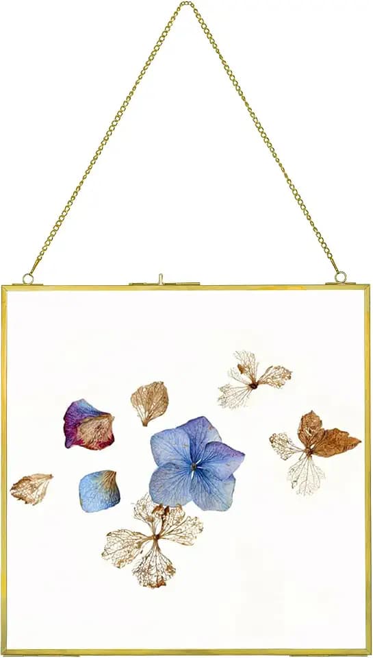 Large Brass Hanging Photo Frame for Pressed Flowers, 12x12 inch Double Clear Glass Frame DIY Artwork Picture Display Glass Clip Frames for Dried Plant Specimen Modern Wall Gold Square Ornament Frame