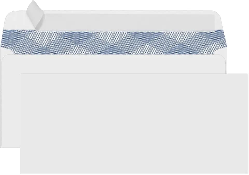 PANDRI 500 Pack #10 Windowless Self-Seal Envelopes, Security Tinted