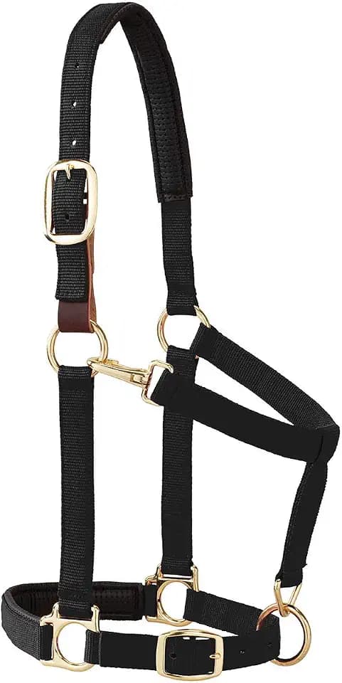 Weaver Equine Breakaway Horse Halter, Comfort Foam Padding, Adjustable Chin & Throat Snap Halters for Horses, Equine Tack,Average Size