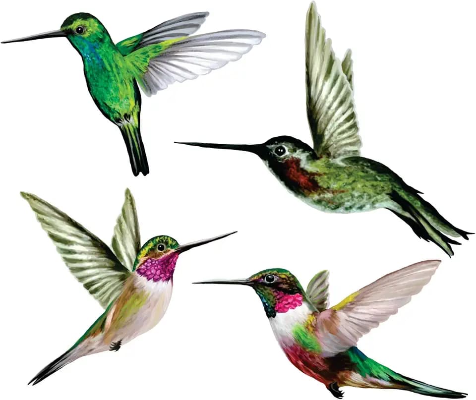 4-Pack Hummingbird Bird Strike Prevention Window Clings