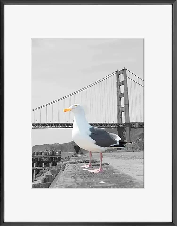 Frametory 16x20 Black Aluminum Metal Picture Frame Mat for 11x14 Glass