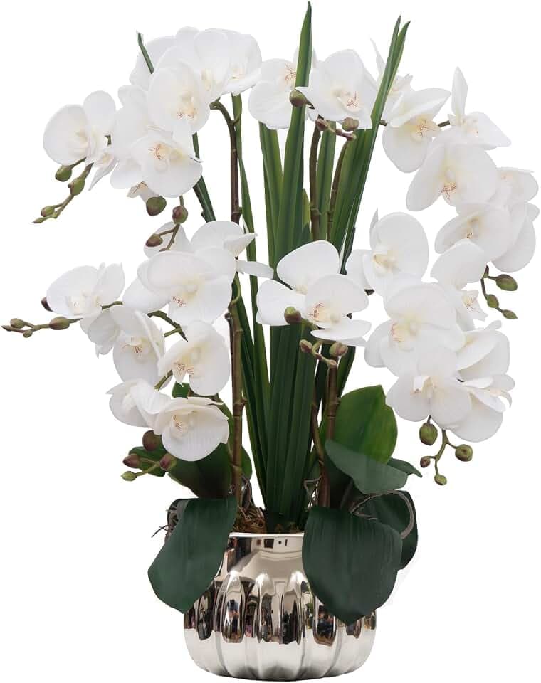 CXGS Artificial Orchid Flower Real Touch Faux Orchids in Ceramic Vase Large 22.9'' Fake Flowers White Phalaenopsis Floral for Home Indoor Decor