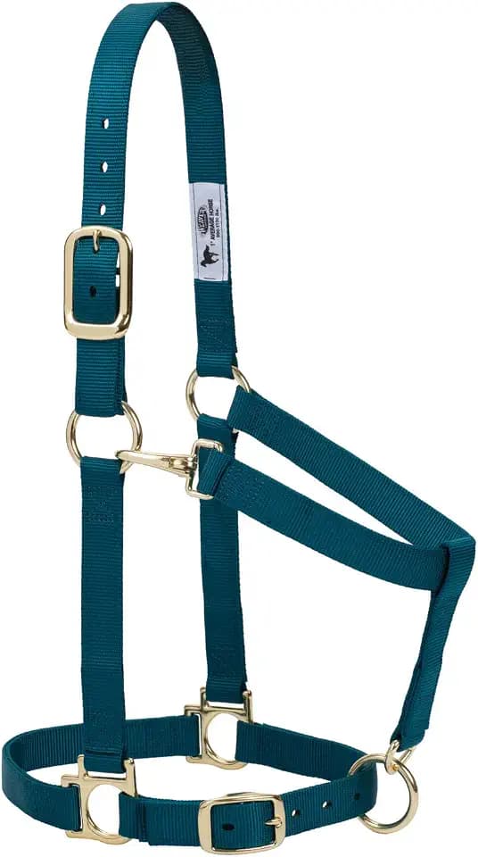 Weaver Equine Nylon Horse Halter, Average Horse, Padded & Adjustable, 1 in