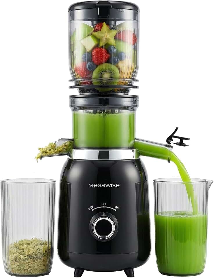 MEGAWISE 800W Cold Press Juicer, Slow Masticating Juicer High Juice Yield
