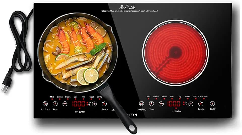 Noxton 2 Burners Electric Cooktop 110v, 24" Built-in & Countertop Stove