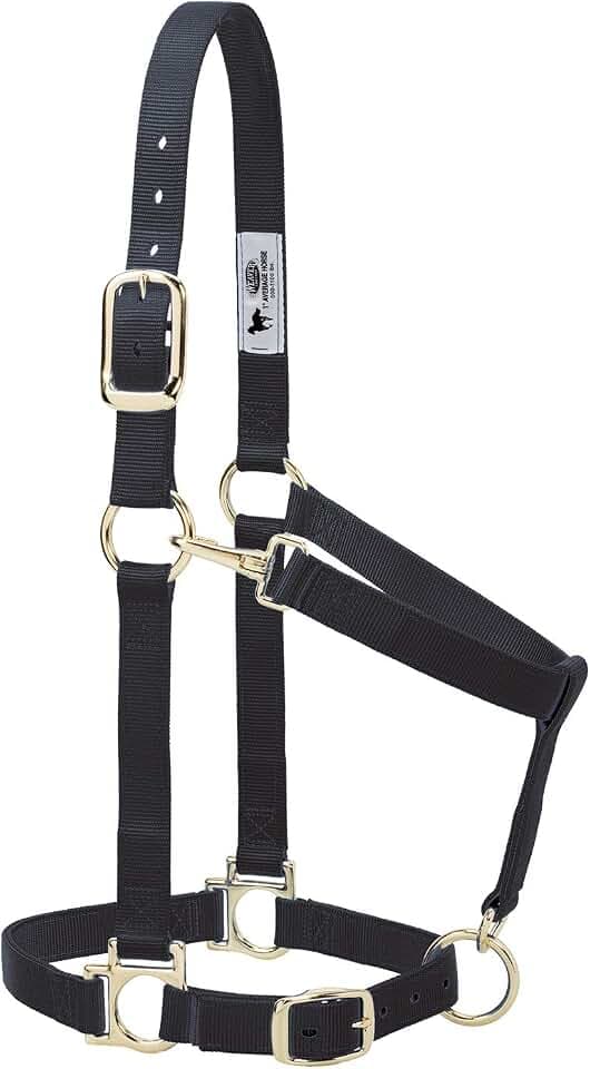 Weaver Equine Nylon Horse Halter, Average Horse, Padded & Adjustable, 1 in