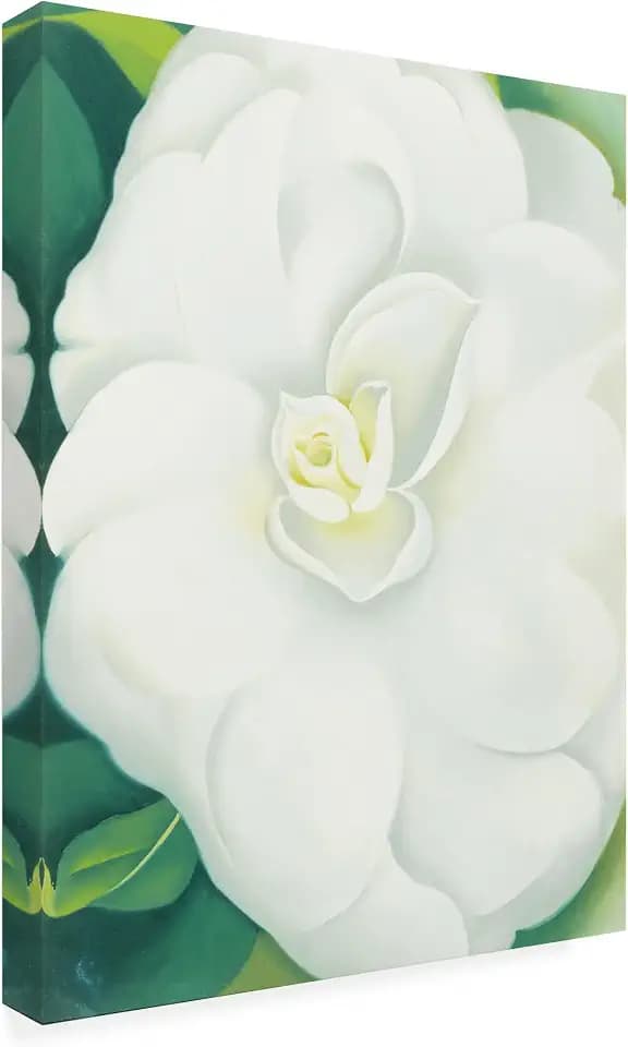 Trademark Fine Art - 'White Camelia' Canvas Art - 32x24