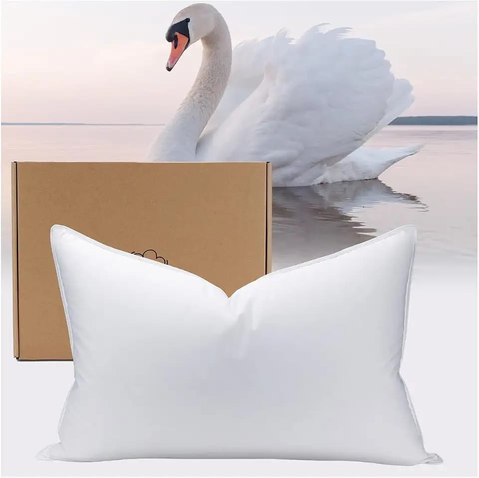 White Goose Down Pillow Luxury Hotel Bed Pillow with 100% Natural 900+ Fill Power, Natural Goose Feather Pillow for Sleeping,700 Thread Count Cotton Shell, King Size- Firm, 1 Pack