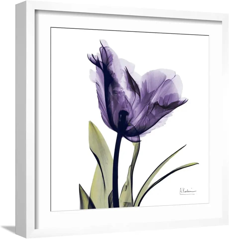 ART.COM Wall Art Print Purple Tulip Portrait on White Frame by Albert Koetsier, 21" x 21"