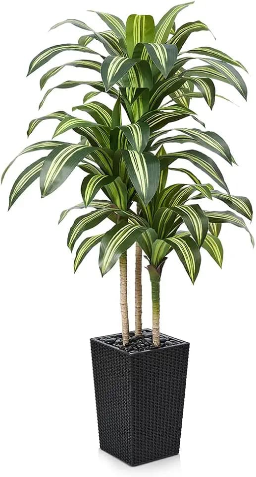 VeriNatural Artificial Dracaena Tree 5ft – UV Resistant Tall Fake Plant with Large Taper Planter & Pebbles– Large Potted Faux Tree for Indoor & Outdoor, Living Room, Office, Porch, Home Decor, VN127