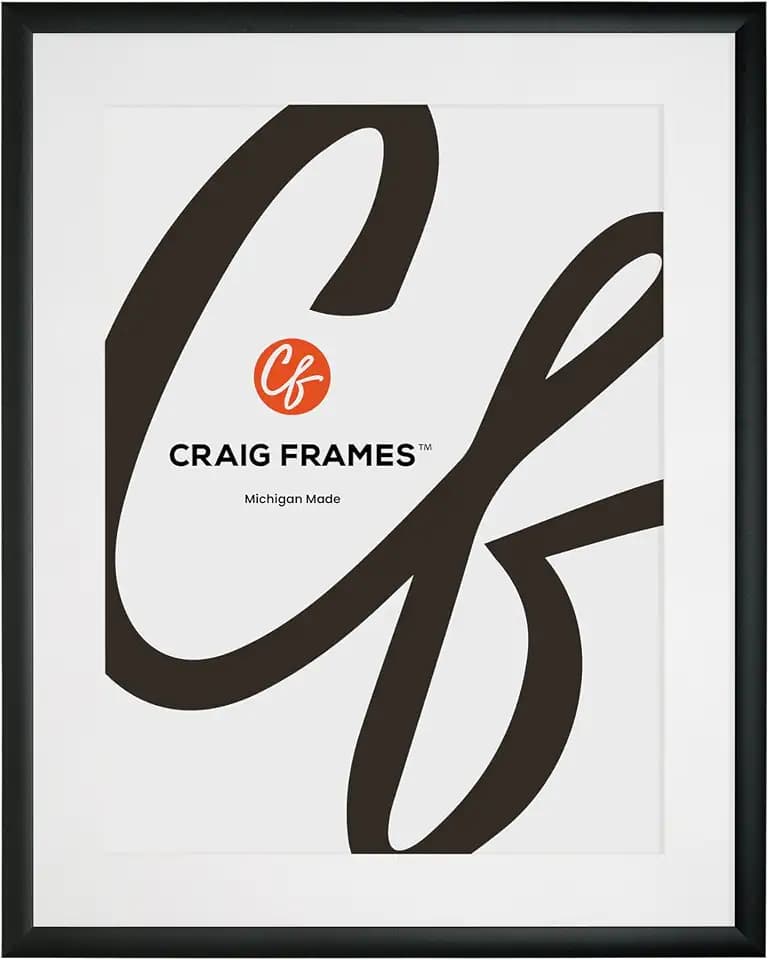 Craig Frames 22x28 Matted Frame for 18x24 Photo, Black