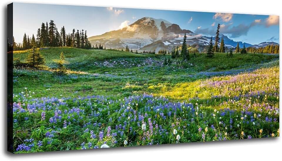 VVJSZHJ Mount Rainier National Park at Sunrise Large Green Canvas Print Wall Art Nature Landscape For Living Room Office Decor (Mount Rainier, 20x40 inch, Wrapped Canvas)