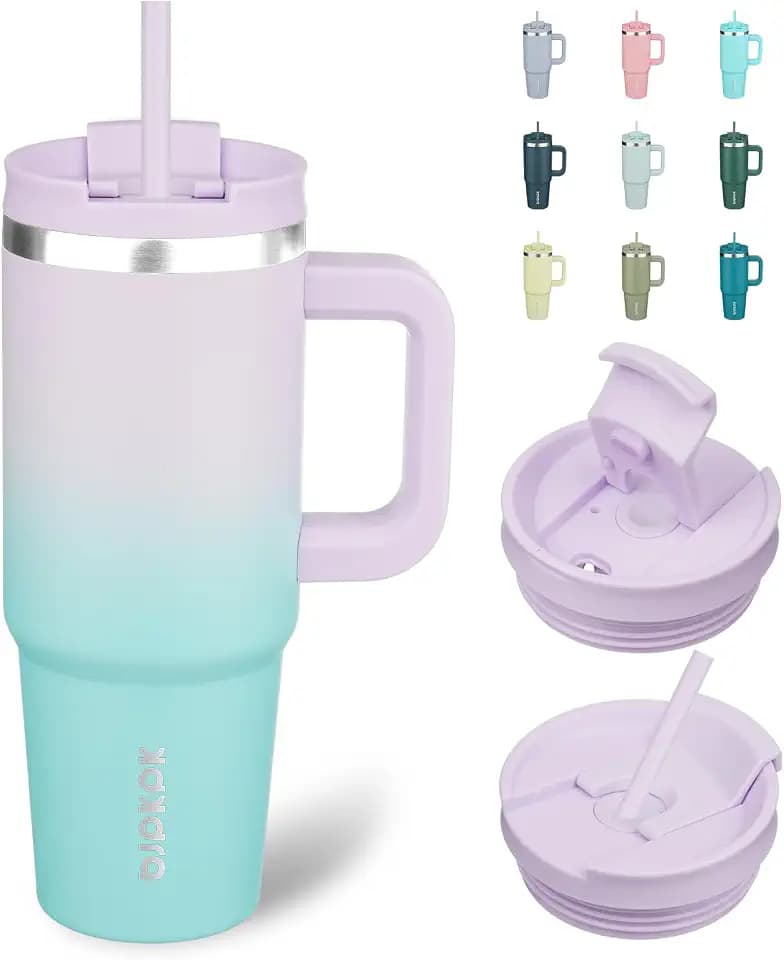 BJPKPK 30 oz Insulated Tumbler with Handle & Straw, Stainless Steel