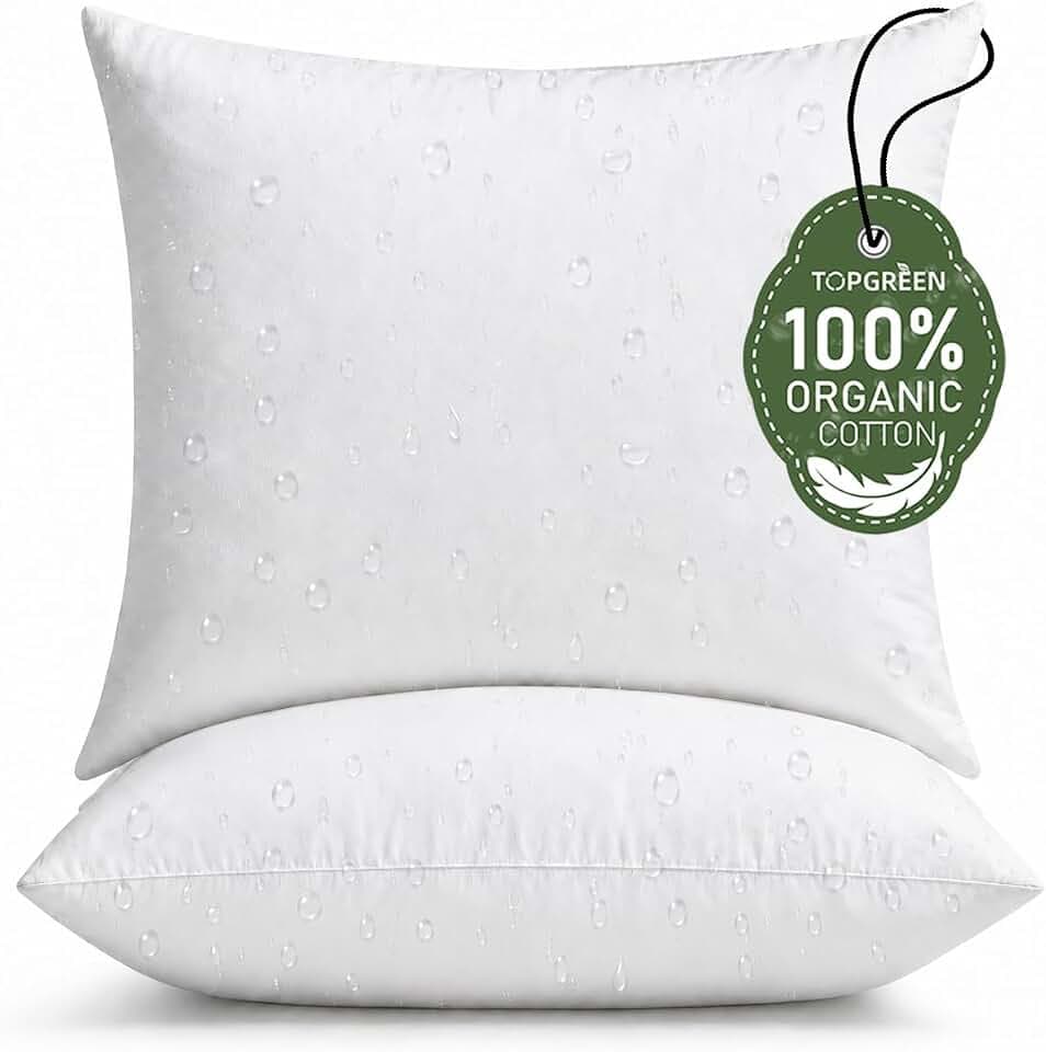 TOPGREEN Organic Feathers Down Outdoor Pillow Insert 16x16, Pack of 2