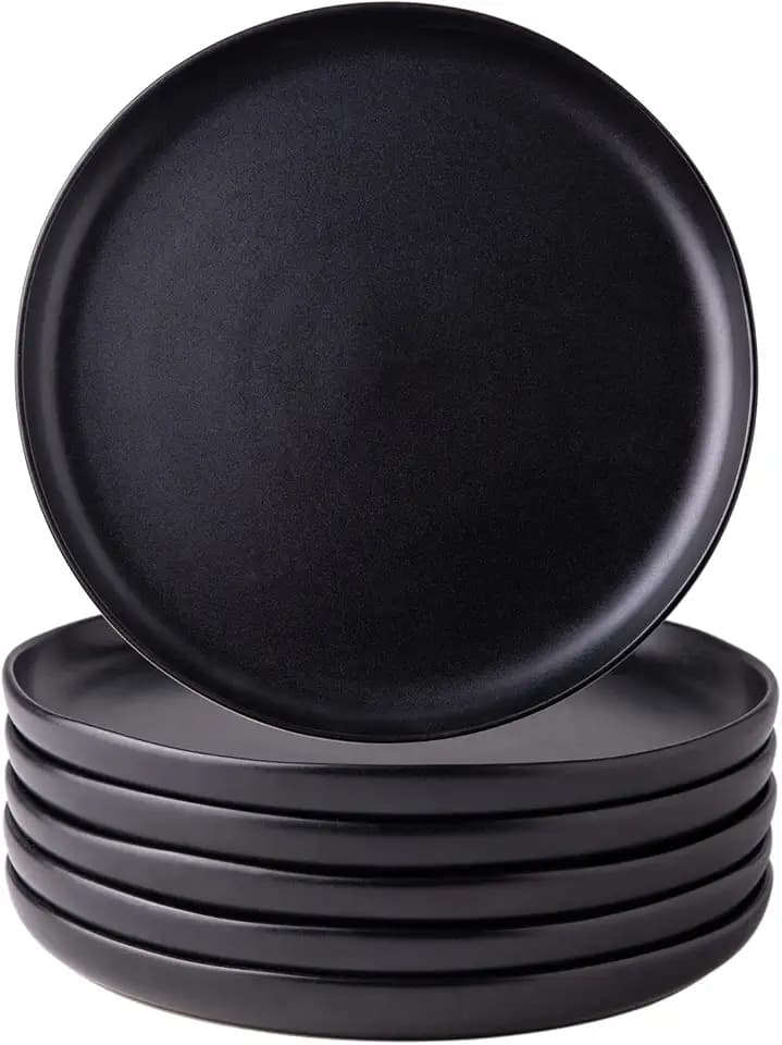AmorArc Ceramic Dinner Plates Set of 6, 10.25 Inch Stoneware Dishes Set