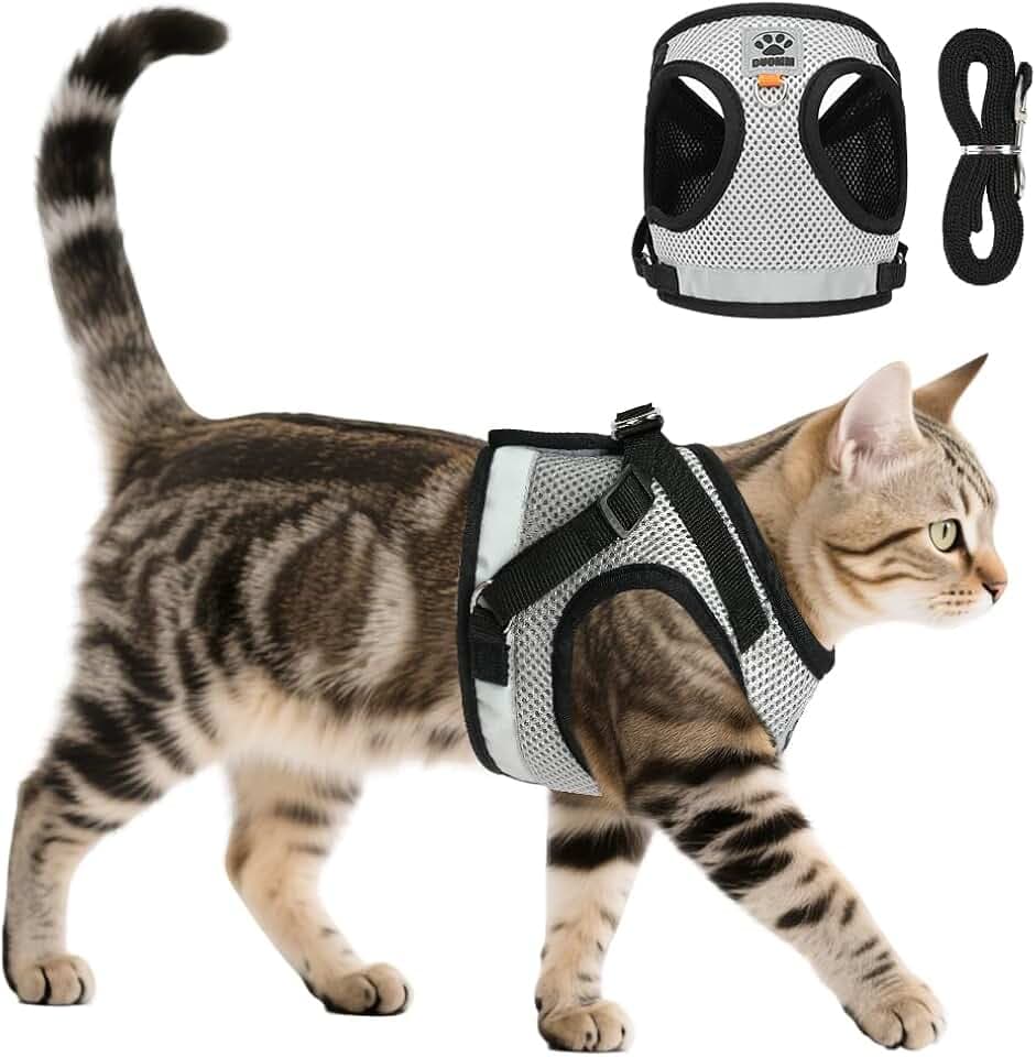 AUYAO 3Pcs Katzengeschirr mit Leine Katzengeschirr Set (Schwarz,S)