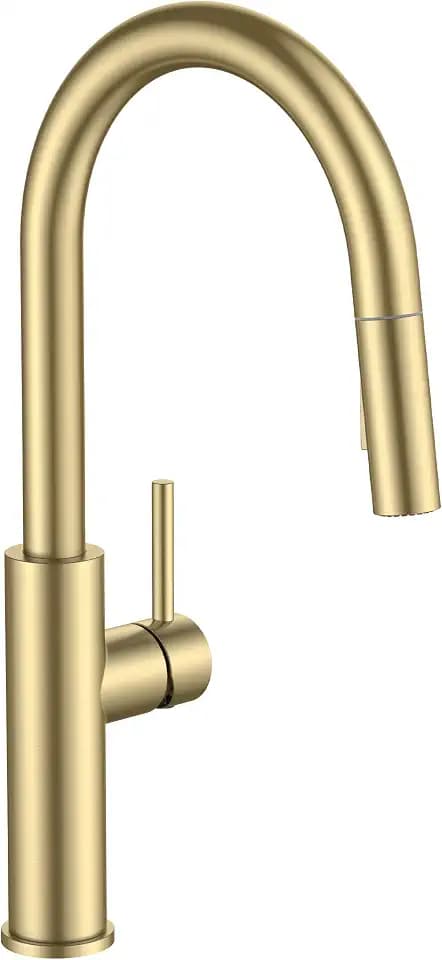 FORIOUS Kitchen Faucet with Pull Down Sprayer, Classic High Arc Gold