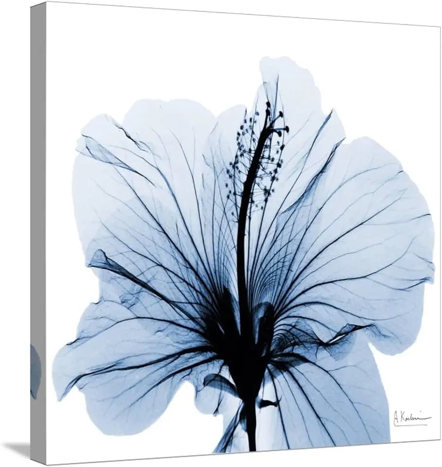 ART.COM Stretched Canvas Print Indigo Hibiscus by Albert Koetsier, 24" x 24"